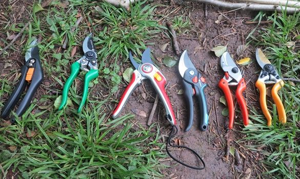 Elektrische Gartenschere von Bosch im Test