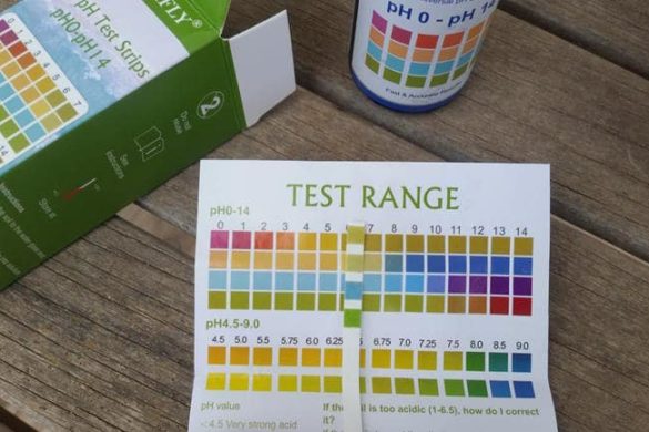 pHWert PflanzenTabelle Der richtige Boden für deine Pflanze